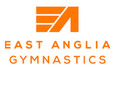 EA Gymnastics
